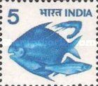Hilsa, Pomfret and Prawn