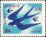 Barn Swallow (Hirundo rustica)