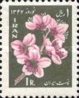 Almond blossoms