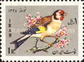 European Goldfinch (Carduelis carduelis)