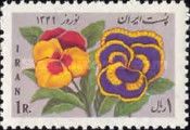Pansies