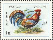 Red Junglefowl (Gallus gallus)