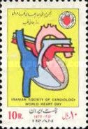 Cross-section of the Human Heart