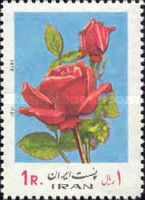 Rosa hybris
