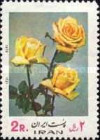 Rosa hybris