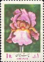 Iris
