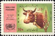 Head of a Cow, Ear