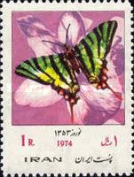 Swallowtail (Papilio machaon)