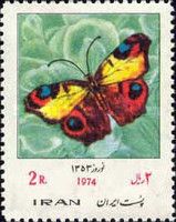European peacock (Aglais io)