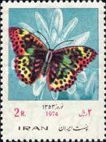 Cardinal (Argynnis pandora)