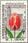 Tulip and Feizieh Theological School in Qum