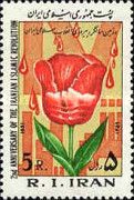 Tulip, Drops of Blood and 'Martyr' in Persian Script