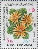 Lesser celandine