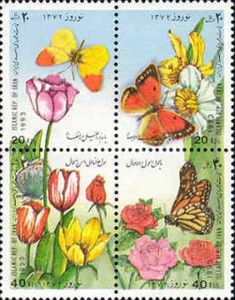 Roses and Butterfly