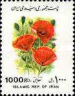 Poppy (Papaver rhoeas)