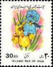 Iris (Iris sp.)