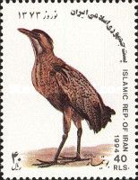 Eurasian Bittern (Botaurus stellaris)