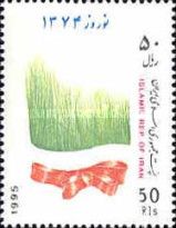 Grass