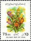 Snapdragon (Antirrhinum majus)