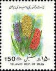 Hyacinth