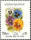 Pansy Violet (Viola arvensis)