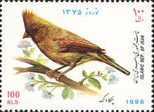 Northern Cardinal (Cardinalis cardinalis)