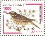 Redwing (Turdus iliacus)