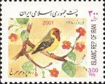 Red-headed Bunting (Emberiza bruniceps)