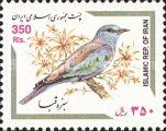 European Roller (Coracias garrulus)