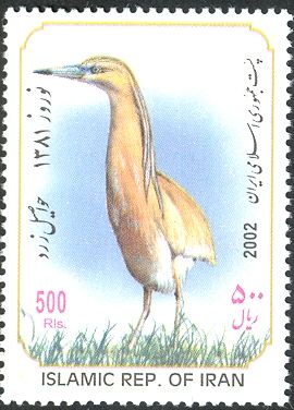 Squacco Heron (Ardeola ralloides)
