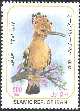 Eurasian Hoopoe (Upupa epops)