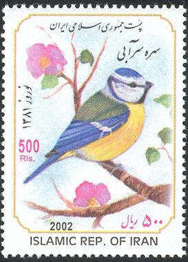 Blue Tit (Parus caeruleus)
