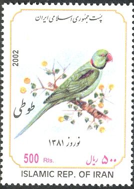 Alexandrine Parakeet (Psittacula eupatria)