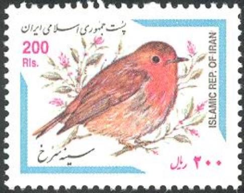 European Robin (Erithacus rubecula)