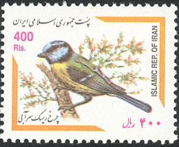 Blue Tit (Parus caeruleus)