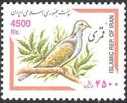 Turtle Dove (Streptopelia turtur)