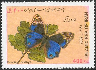 Blue Pansy (Precis orithya)