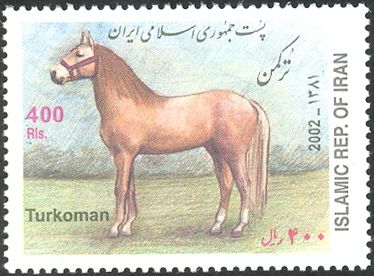 Turkoman Horse (Equus ferus caballus)