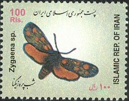 Six-spot Burnet (Zygaena filipendulae)