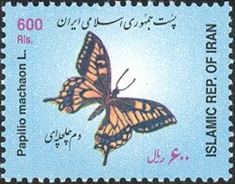 Swallowtail (Papilio machaon)
