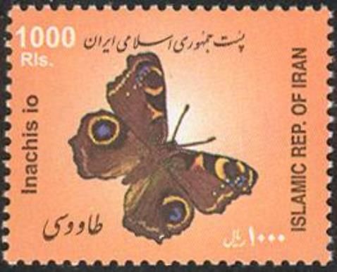 European peacock (Inachis io)