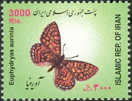 Marsh Fritillary (Euphydryas aurinia)