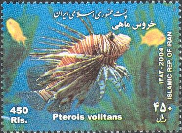 Red Lionfish (Pterois volitans)