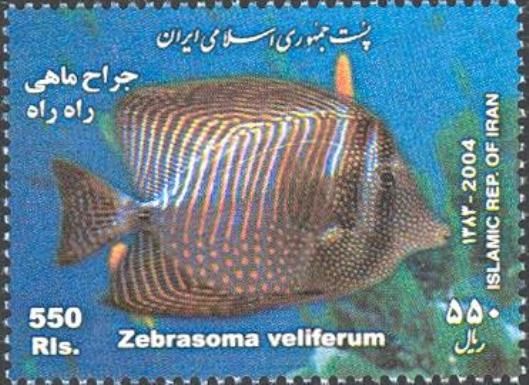 Sailfin Tang (Zebrasoma veliferum)