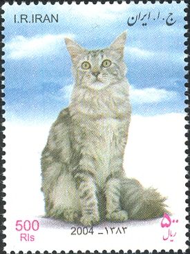Long Hair (Felis silvestris catus)