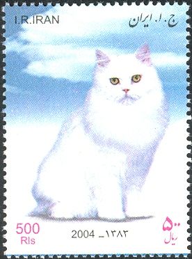 Persian Cat (Felis silvestris catus)