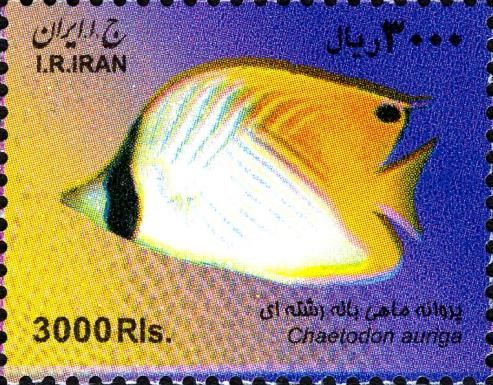 Threadfin Butterflyfish (Chaetodon auriga)