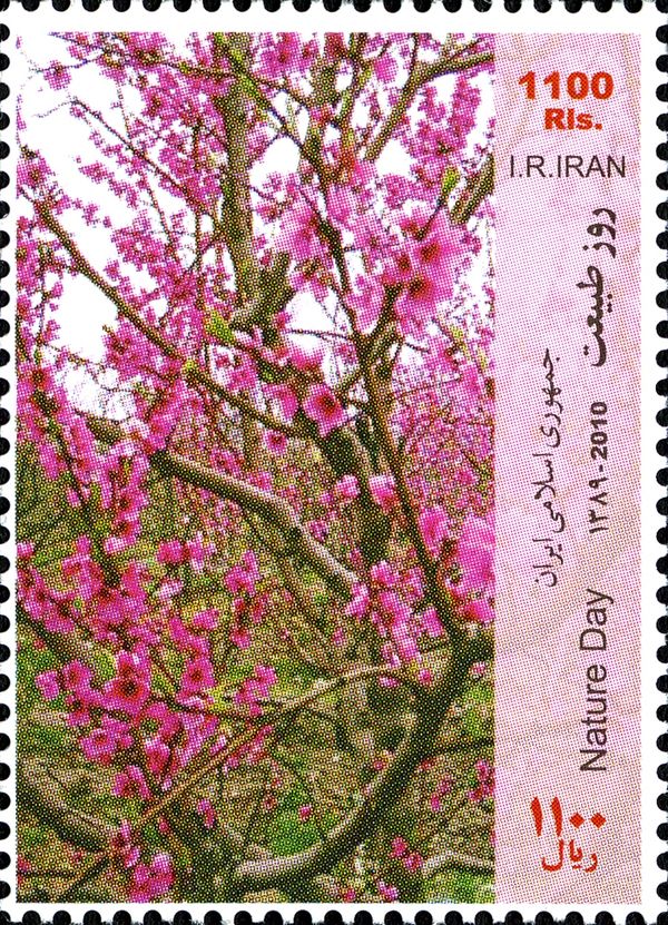 Nature Day : Spring