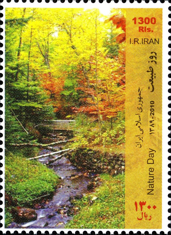 Nature Day : Autumn