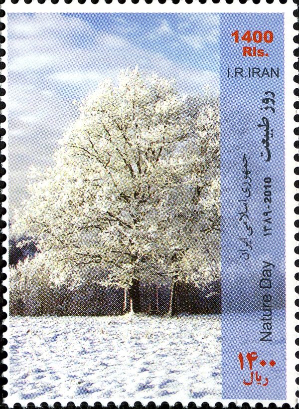 Nature Day : Winter